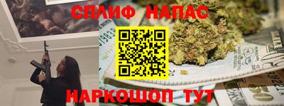 крисы Будённовск