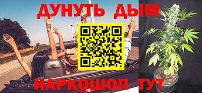 крисы Будённовск