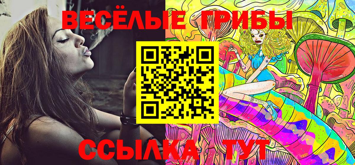 Галлюциногенные грибы Psilocybine cubensis Лосино-Петровский